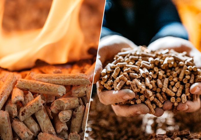 Granulés et pellets
